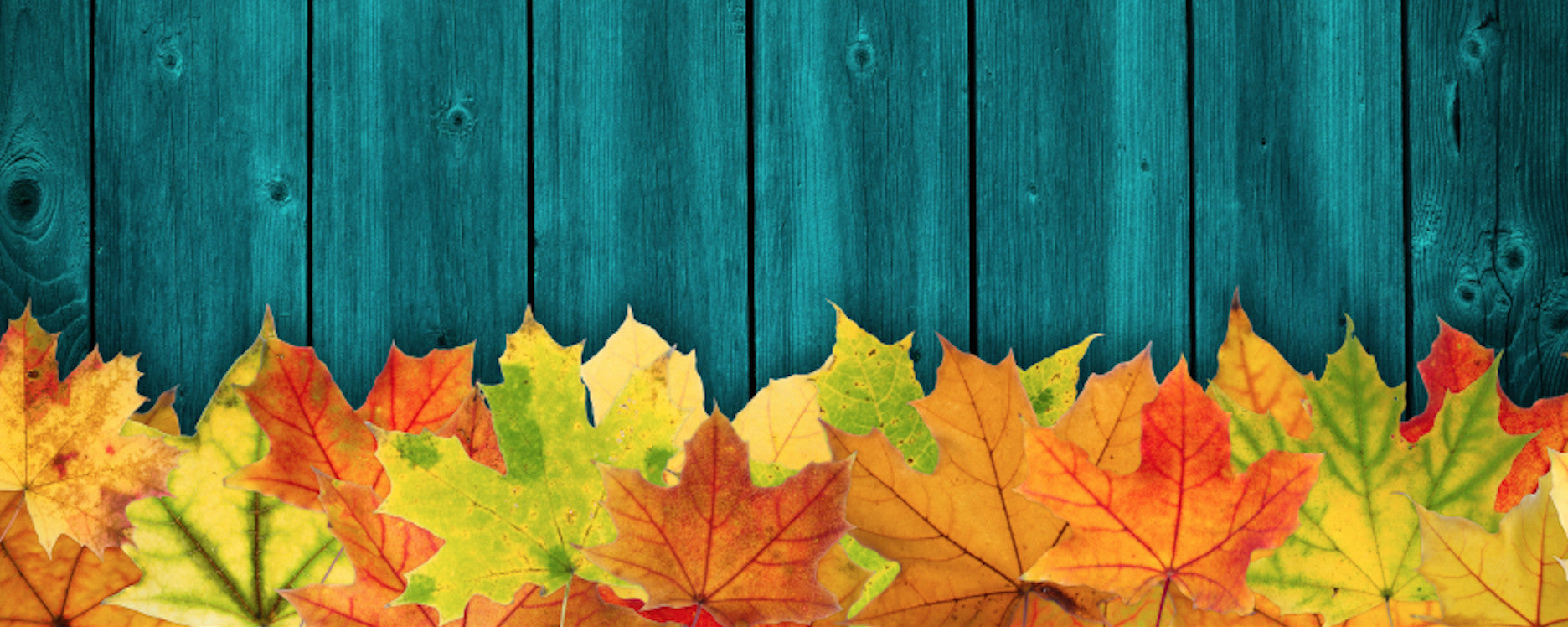 Happy Thanksgiving! (and pie)