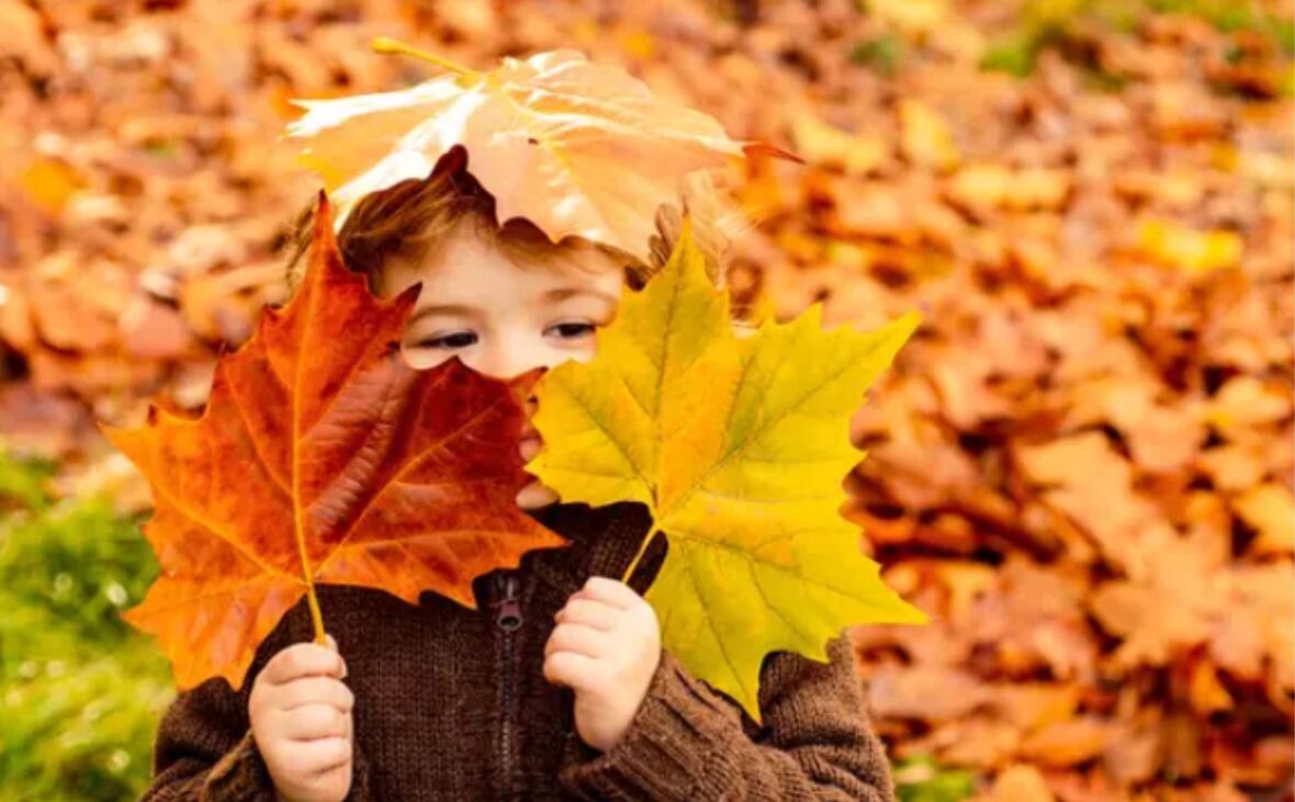 October 2021 Newsletter