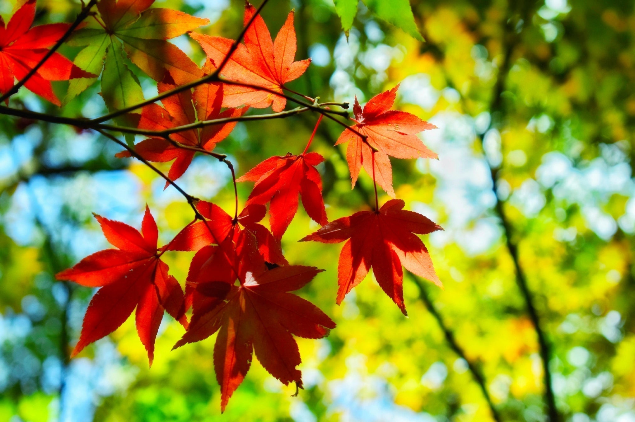 September Newsletter 2026
