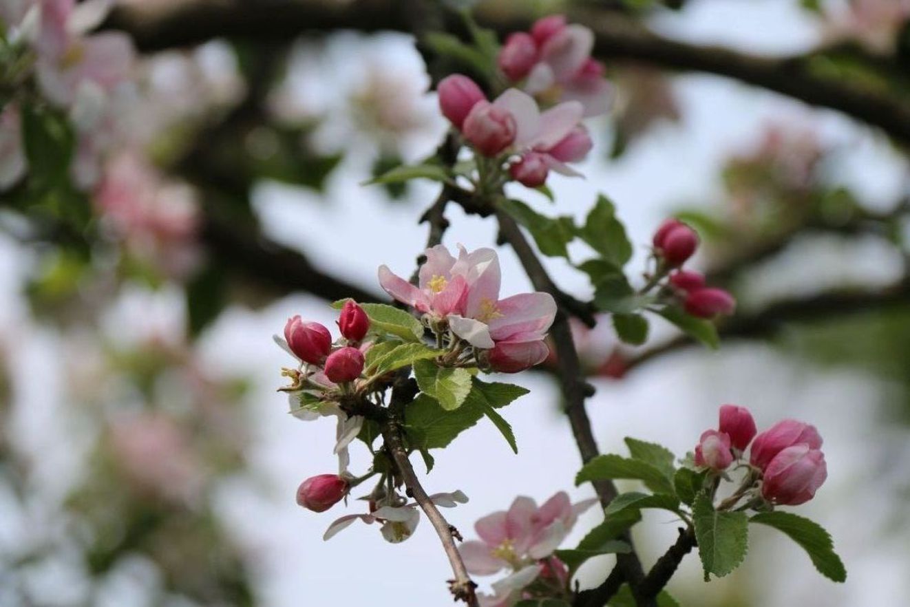 March 2020 Newsletter