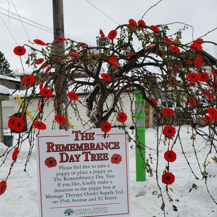 Thank you for The Rememberance Day Tree