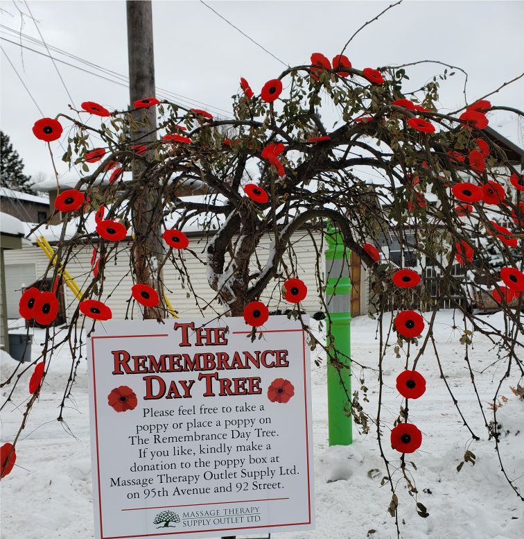 Thank you for The Rememberance Day Tree