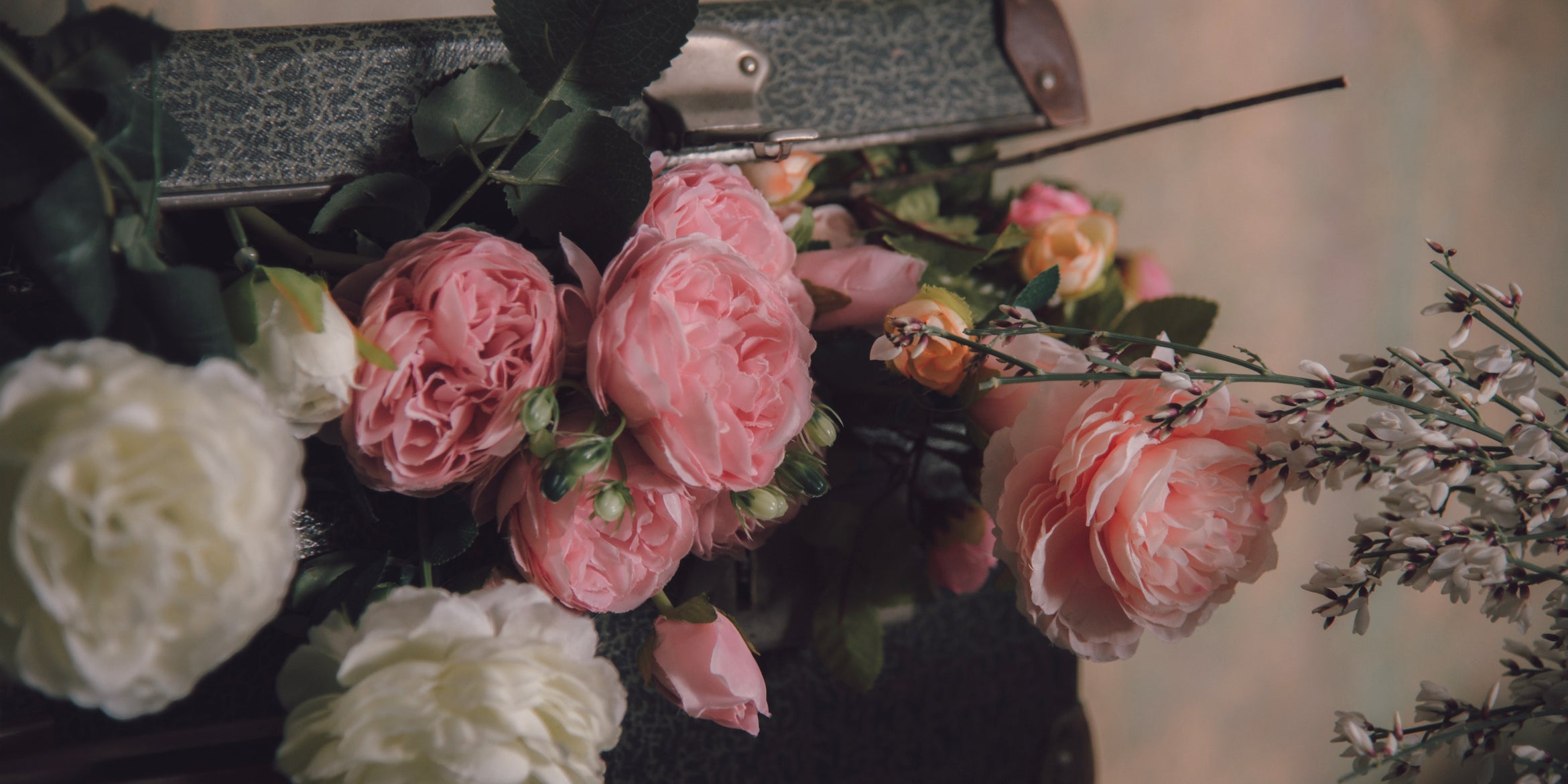Spring to Summer - May Newsletter