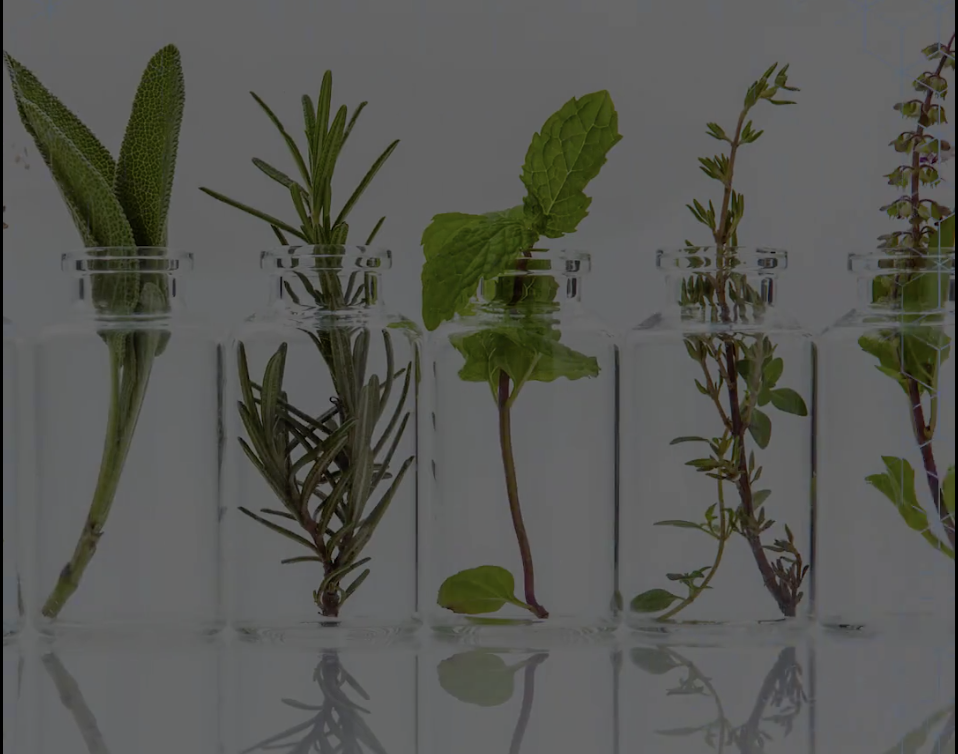 The Science Behind Essential Oils