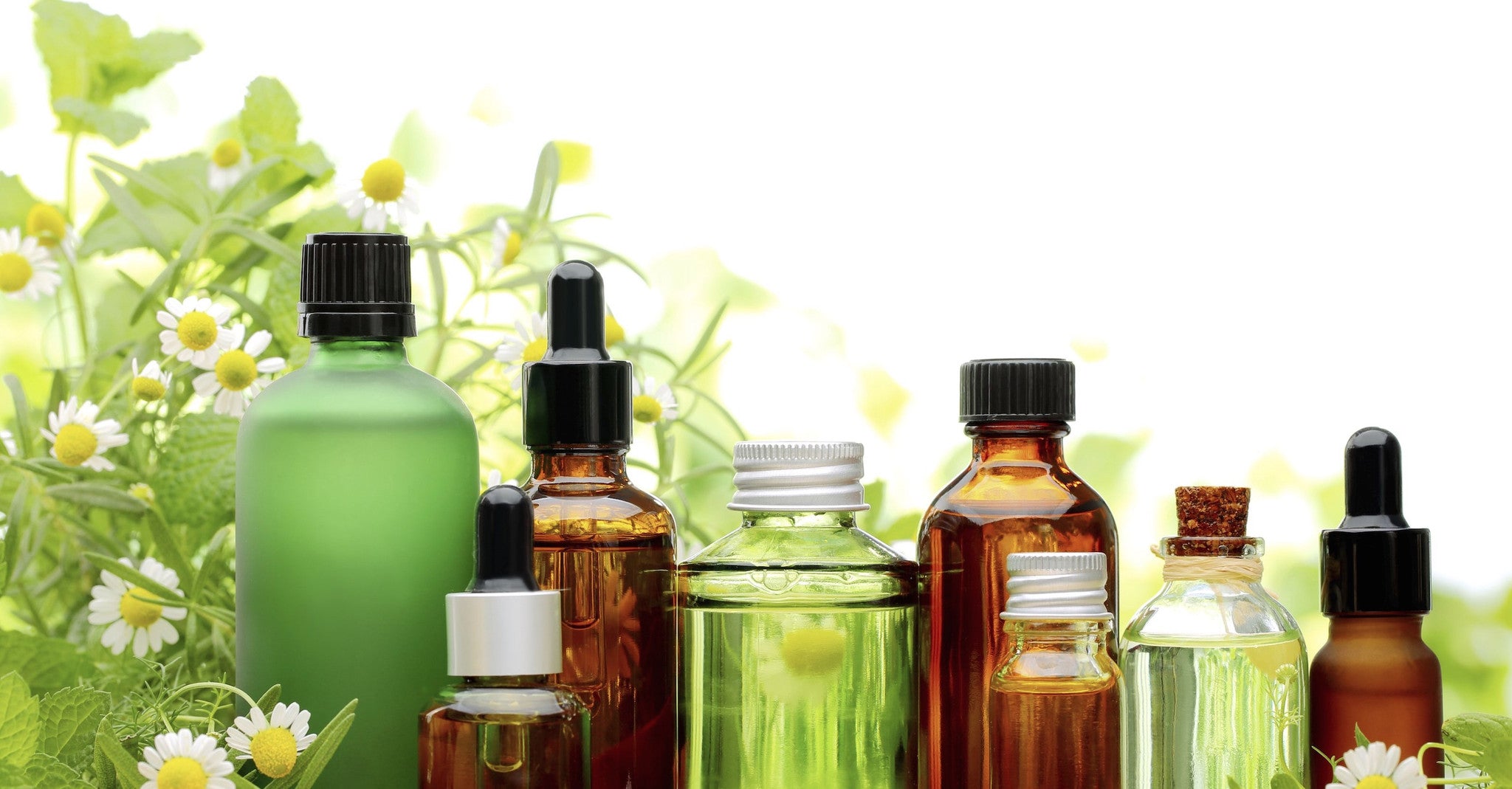 Everyone LOVES our Japanese Mint Oil