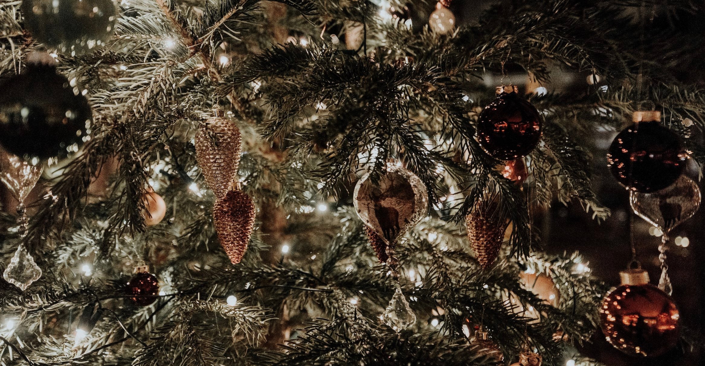 December  2019 Newsletter - Warm Greetings