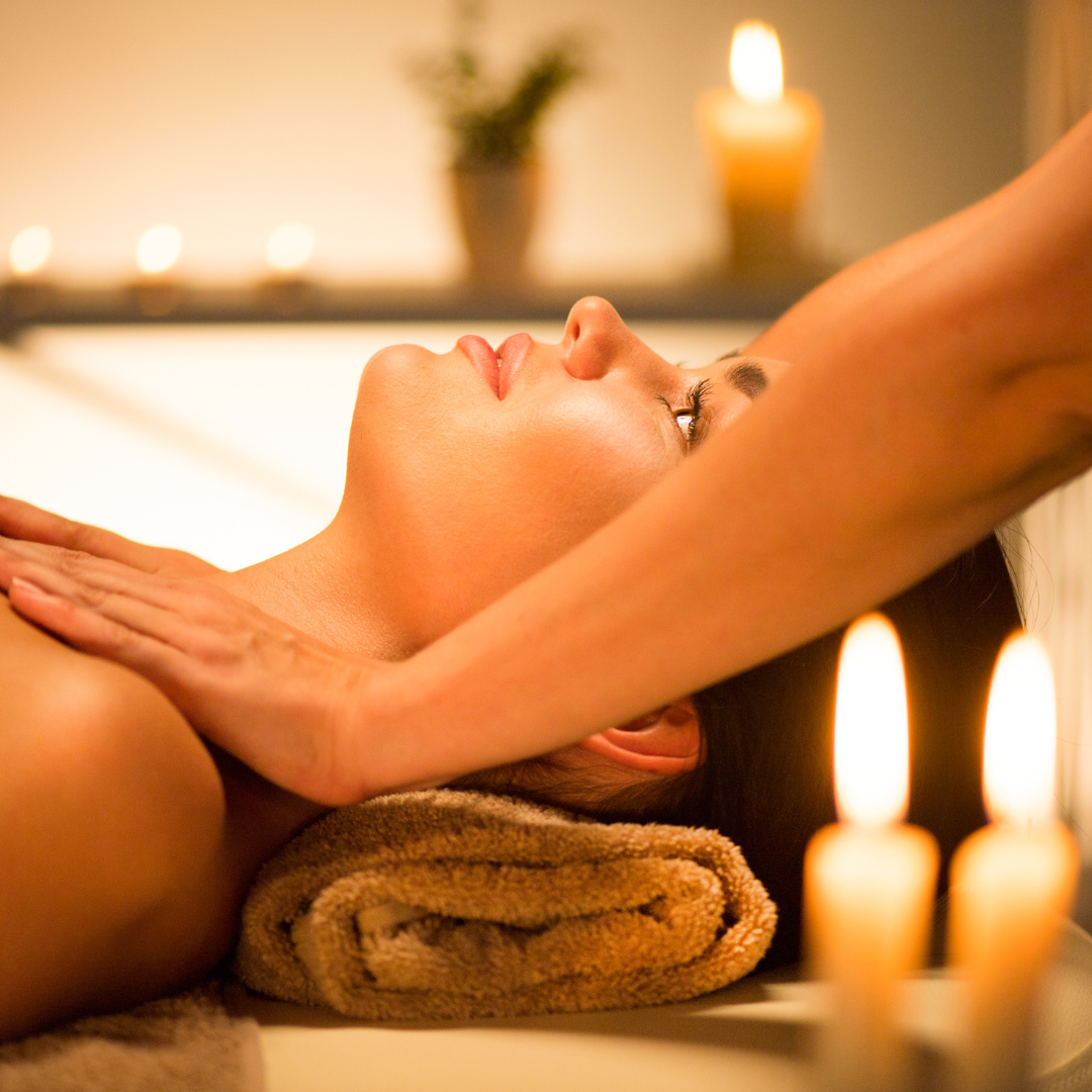 November 2023 Newsletter