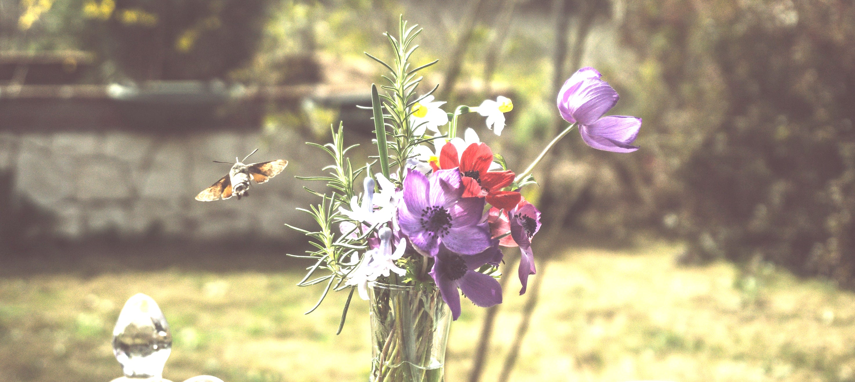 MTSO June Newsletter