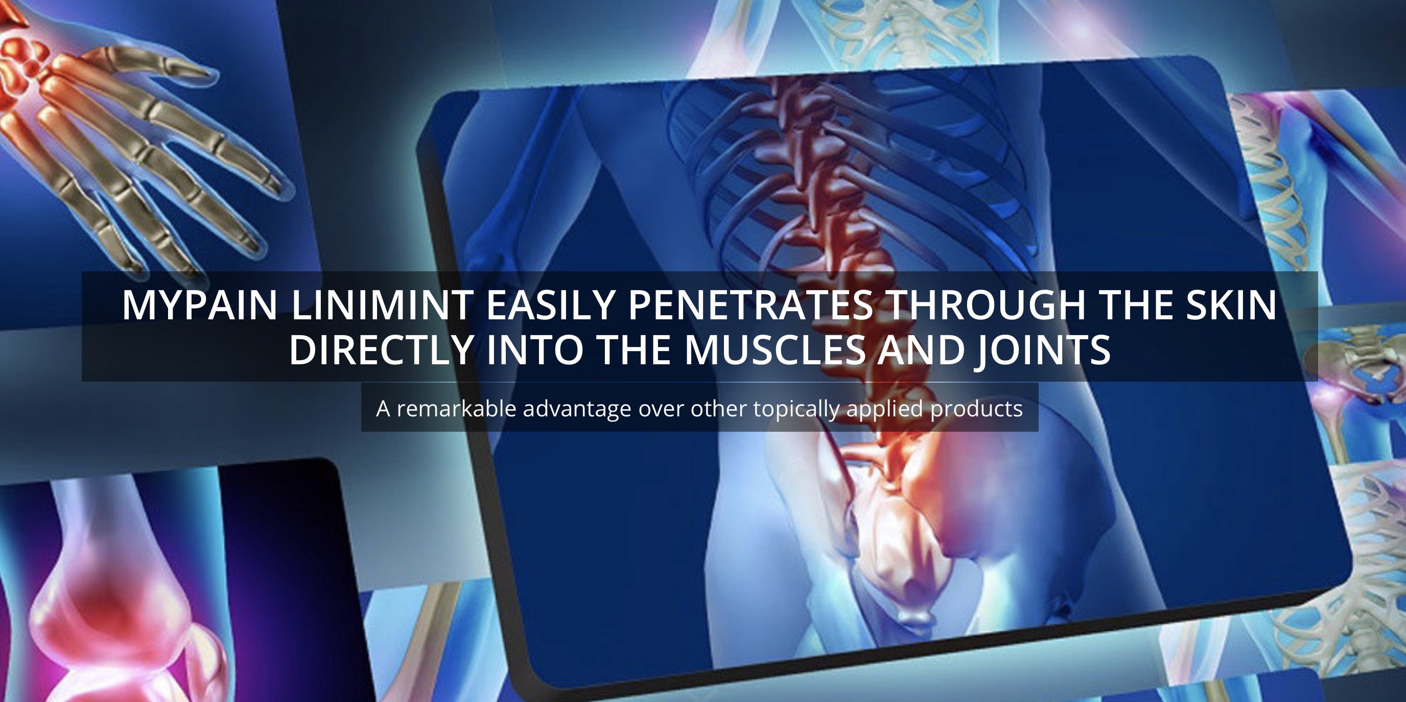 Mid-Summer Greetings from MTSO!