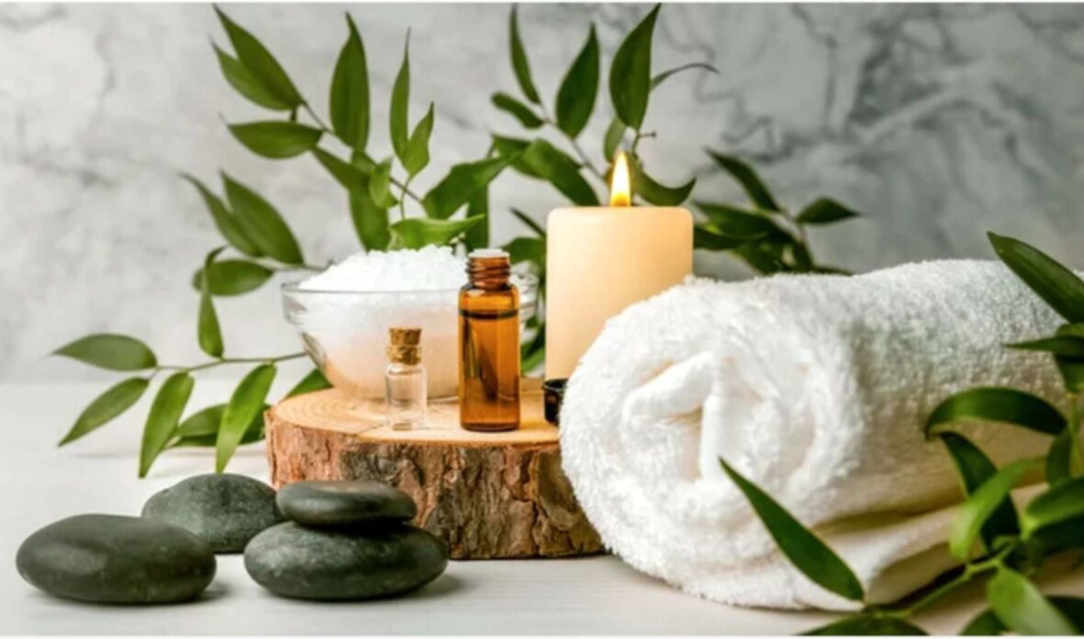 August 2021 Newsletter