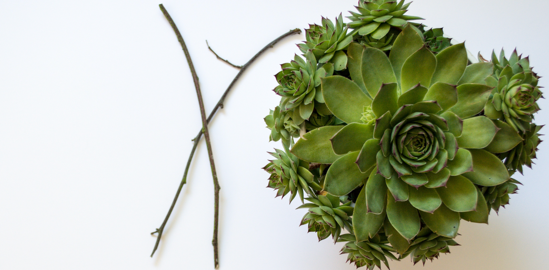 Special on Spa Tables with Lift Assist Backrest!