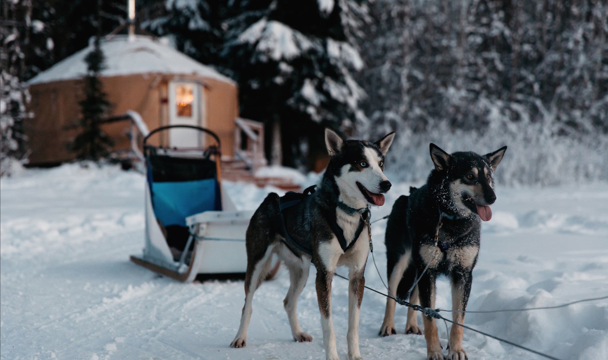 Happy Festive Holiday Yuletide Hours