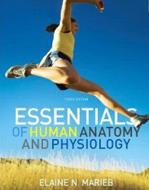 Essentials of Human Anatomy and Physiology by Marieb