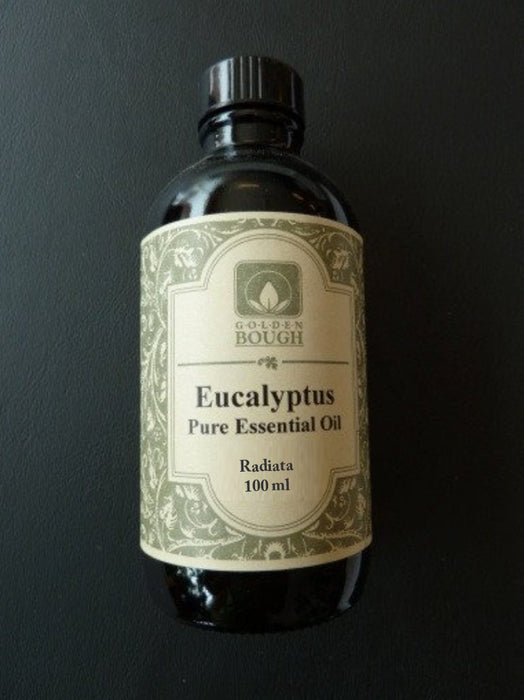 pure natural essential oil of eucalyptus radiata, 100 ml