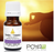 Tranquil Synergy Blend Essential Oil 10ml/30ml