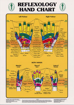 Chart illustrates hand reflexology