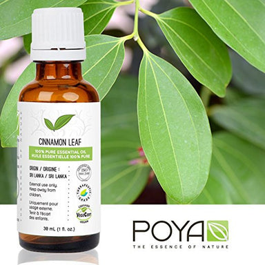 Cinnamon Leaf Essential Oil 10ml/30ml