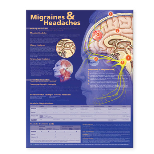 Migraines and Headaches Chart